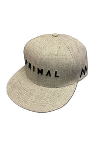 Primal Academy Snapback Grey